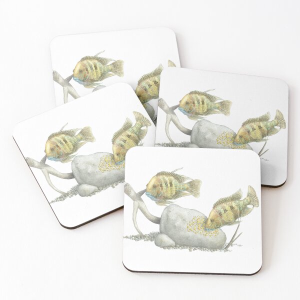 Item preview, Andinocara blombergi watercolor designed and sold by Dorian NOEL.