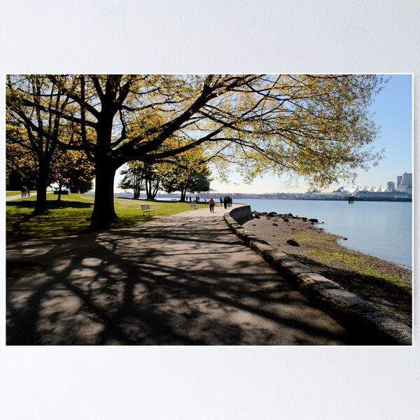 Item preview, Vancouver - Stanley Park - Tree Along The Path designed and sold by rsangsterkelly.