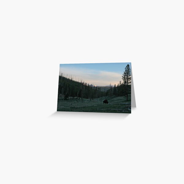 Aperçu de l'œuvre  un bison solitaire broute tranquillement près de la rivière Gibbon dans le parc national de Yellowstone. Cette image saisit l'extraordinaire étendue de nos plus magnifiques parcs et reflète l'abondance de cet environnement naturel nécessaire pour souteni créée et vendue par Ken McElroy.