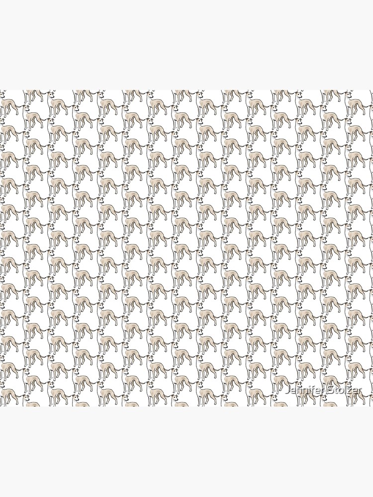 Whippet by jameson9101322