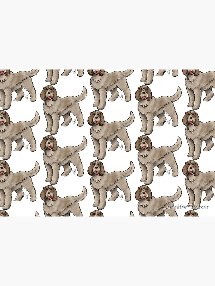 Spinone Italiano by jameson9101322