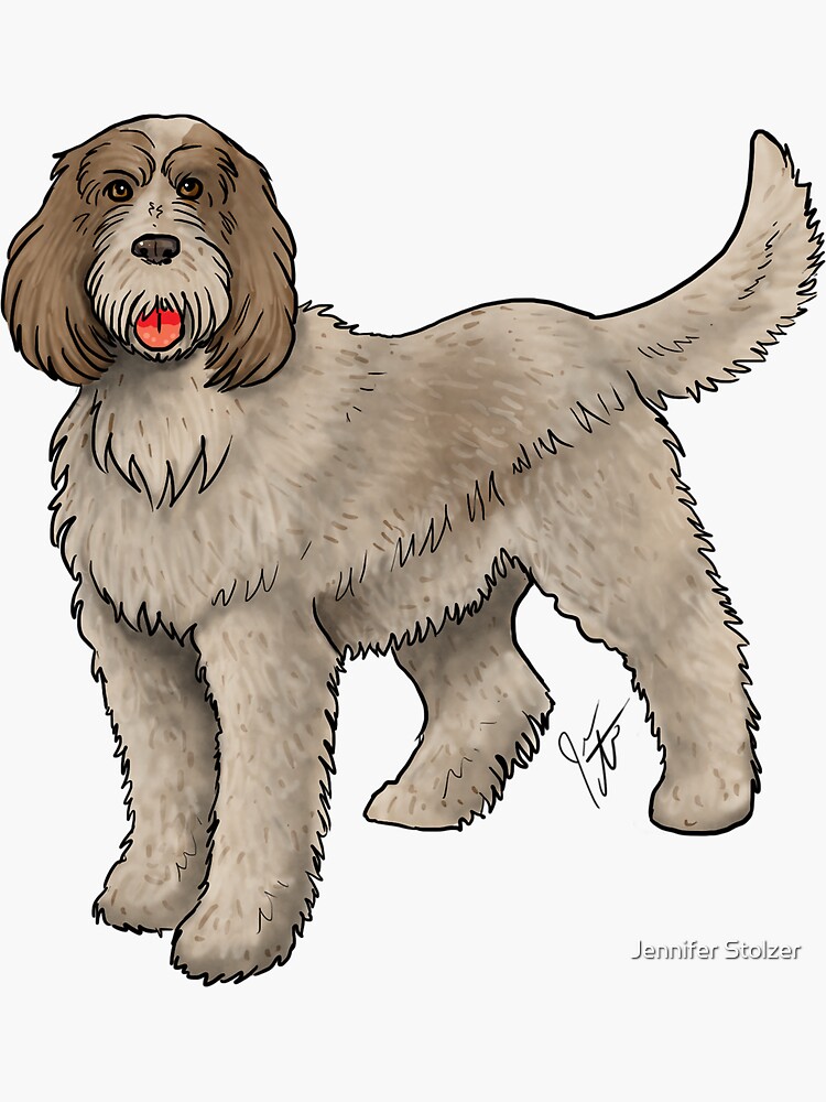 Spinone Italiano by jameson9101322