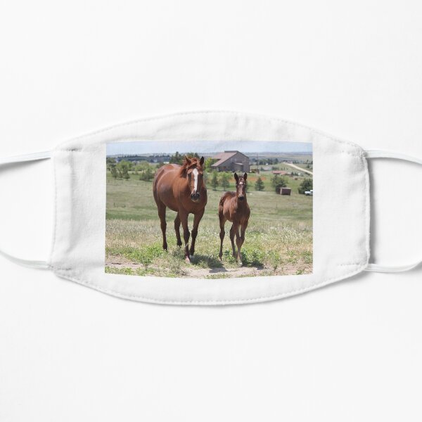 Supercilious Girl and her colt, Jimmy Small Mask