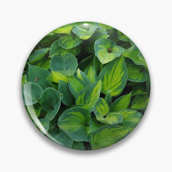 Item preview, Hostas designed and sold by NeonPink.