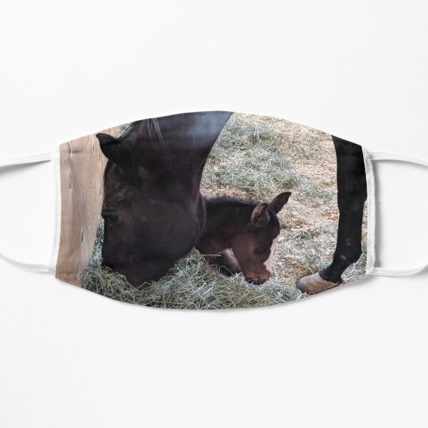 Baby Note Mask