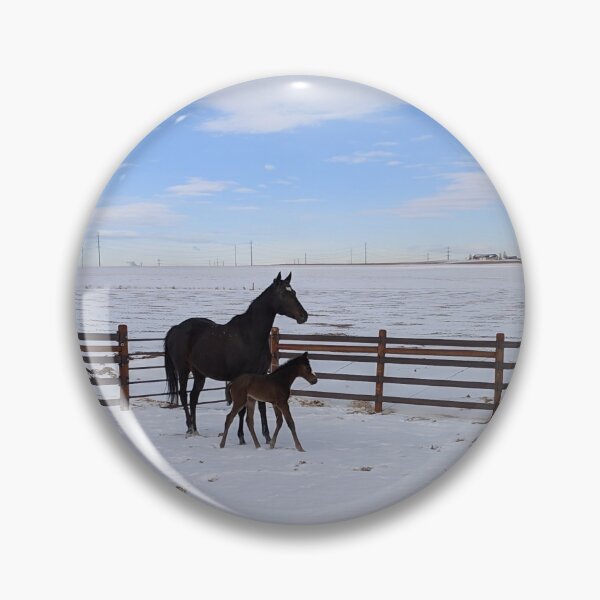 Picturesque Notes Pin