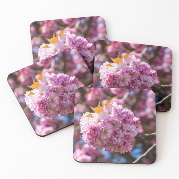 Item preview, Vibrant cherry blossom cluster bathed in evening sun designed and sold by Rod Raglin.