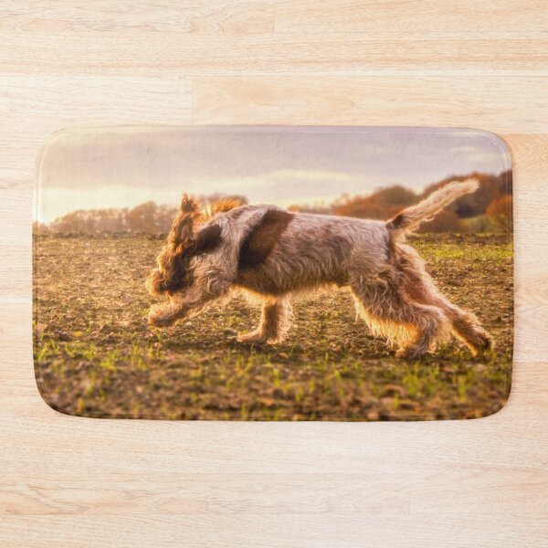Item preview, Brown Roan Italian Spinone Dog in Action designed and sold by FOLK ART FUSION by heidiannemorris.