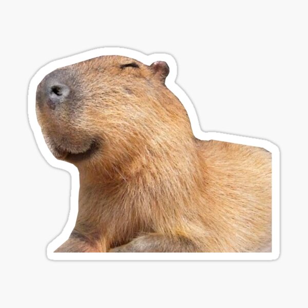 Капибара фото png "Happy Capybara " Sticker for Sale by desexperiencia Redbubble