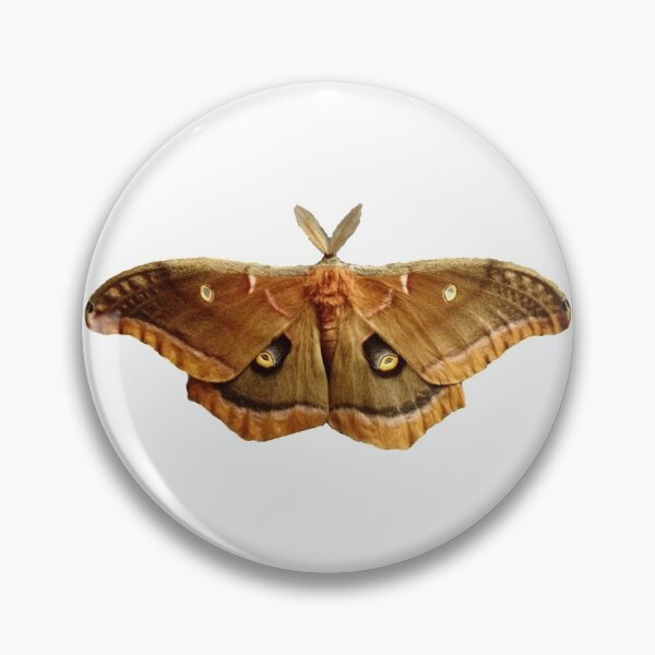 Item preview, Polyphemus Moth designed and sold by Qualiesin.