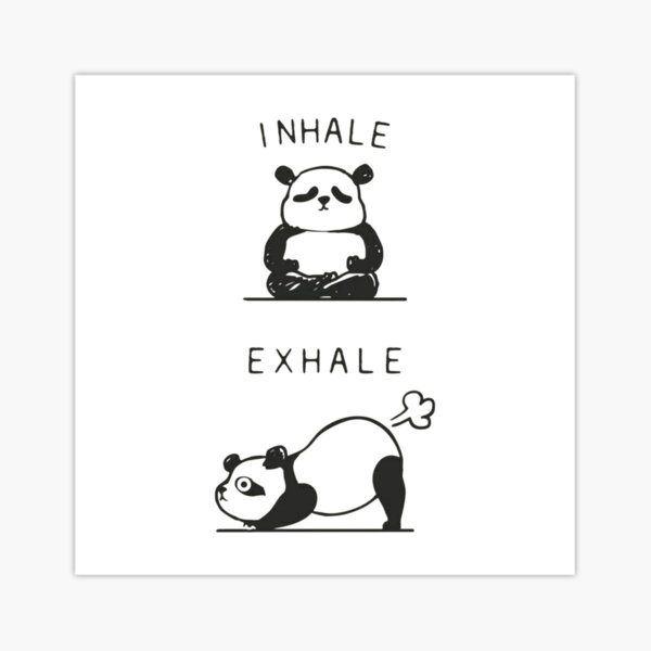Stickers Sur Le Theme Yogi Bear Yoga Redbubble