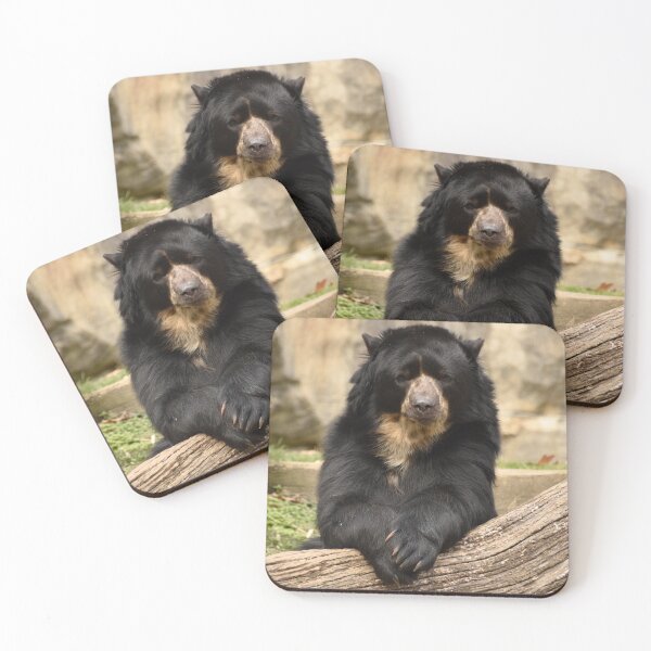 Item preview, Andean Bear at the National Zoo designed and sold by Zoo and Nature Photography by Karie.