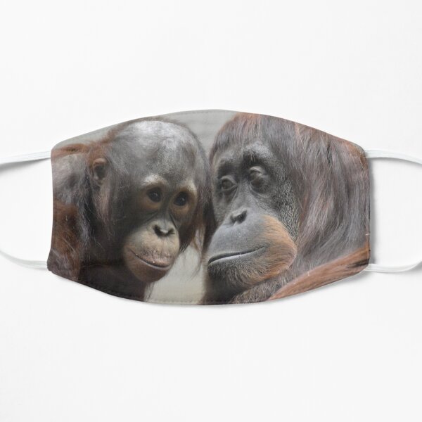 Orangutans Redd and Iris at the National Zoo Flat Mask