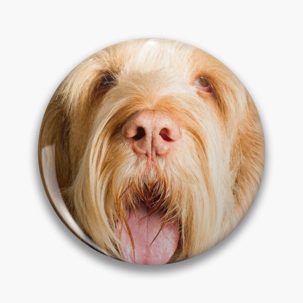 Artikelvorschau, Einsam für dich Spinone entworfen und verkauft von FOLK ART FUSION.