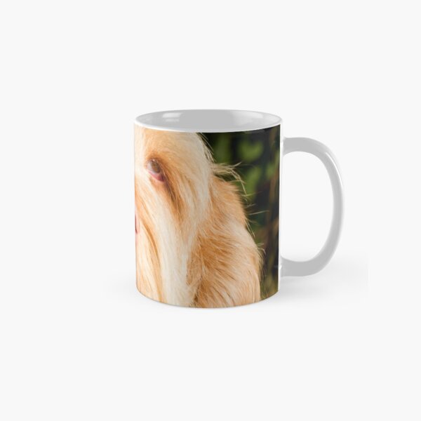 Lonesome for you Spinone Classic Mug