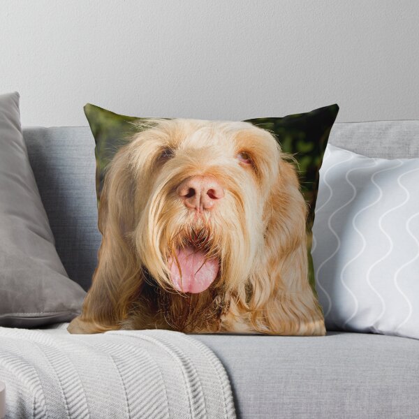 Lonesome for you Spinone Throw Pillow