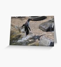 Jet Propelled Penguin!!!! Greeting Card