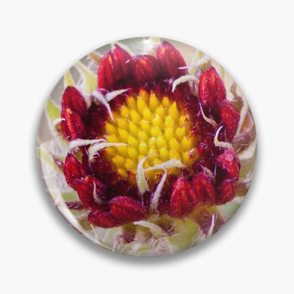 Item preview, Baby Blanketflower designed and sold by Caitlyn Grasso.