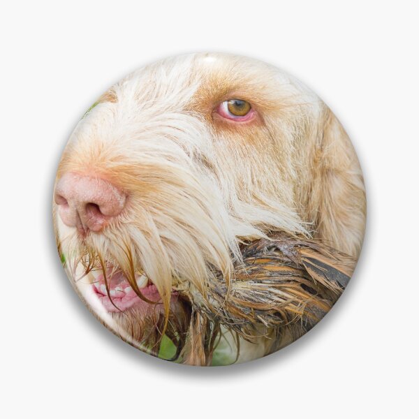 Artikelvorschau, Fasanenfedern Spinone entworfen und verkauft von FOLK ART FUSION.