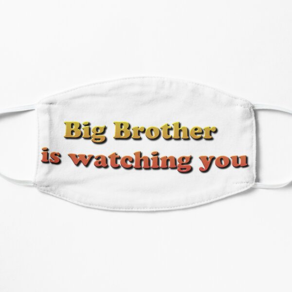 Big Brother Is Watching You Small Mask