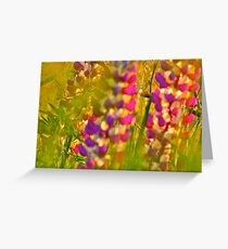 ❤❤❤ Frasi Belle Sulla Vita . Andre Brown Sugar. Including In the Summertime. Mungo Jerry. Thanks guys ! Yeah so good ! Greeting Card