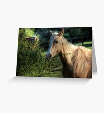 "Has anyone seen my idiot brother?" Greeting Card
