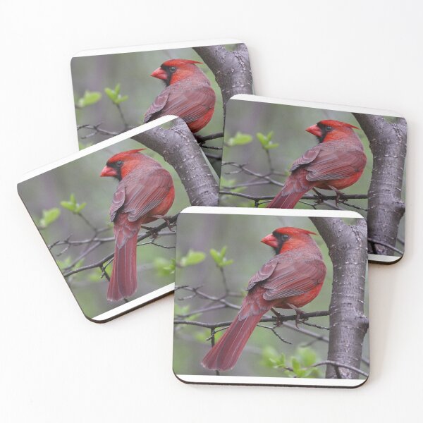Item preview,  Northern Cardinal  designed and sold by James Cumming.