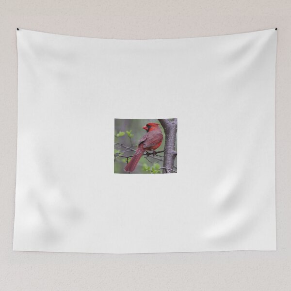 Item preview,  Northern Cardinal  designed and sold by James Cumming.