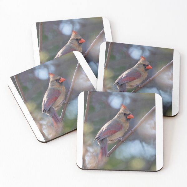 Item preview, Northern Cardinal female designed and sold by James Cumming.