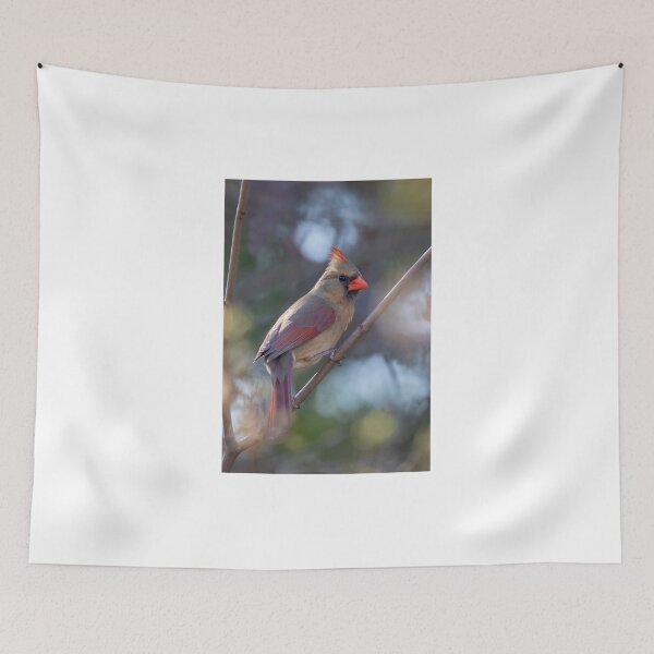 Item preview, Northern Cardinal female designed and sold by James Cumming.
