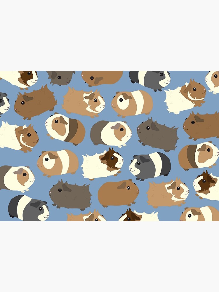 Cute Guinea Pigs by Psitta