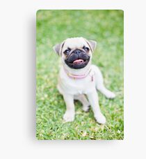 SMILE! Canvas Print