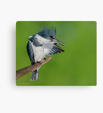 There it is Canvas Print