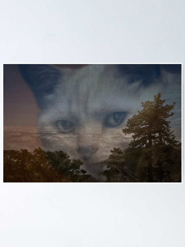 Thumbnail 1 von 3, Poster, " Perspective " designt und verkauft von CanyonWind.