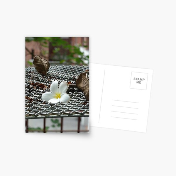 Item preview, The Fallen Flower  designed and sold by PictureNZ.