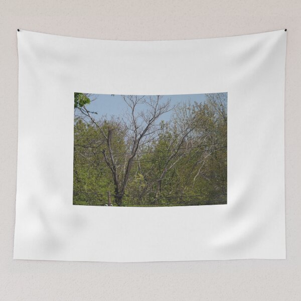 Item preview, Urban Forest, Harsimus Branch Embankment, Jersey City, New Jersey designed and sold by lenspiro.