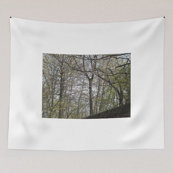 Item preview, Urban Forest, Harsimus Branch Embankment, Jersey City, New Jersey designed and sold by lenspiro.