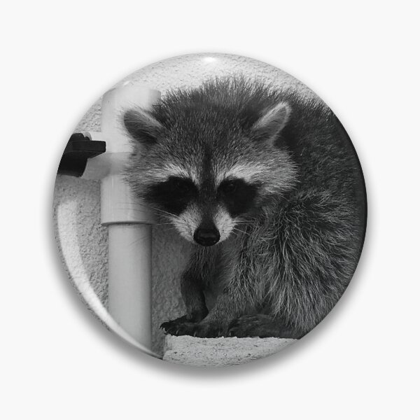 Item preview, Raccoon designed and sold by misimichu.