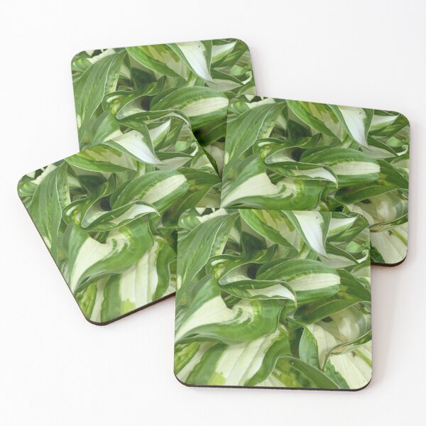 Item preview, Hosta Leaves designed and sold by rocketfoot7.