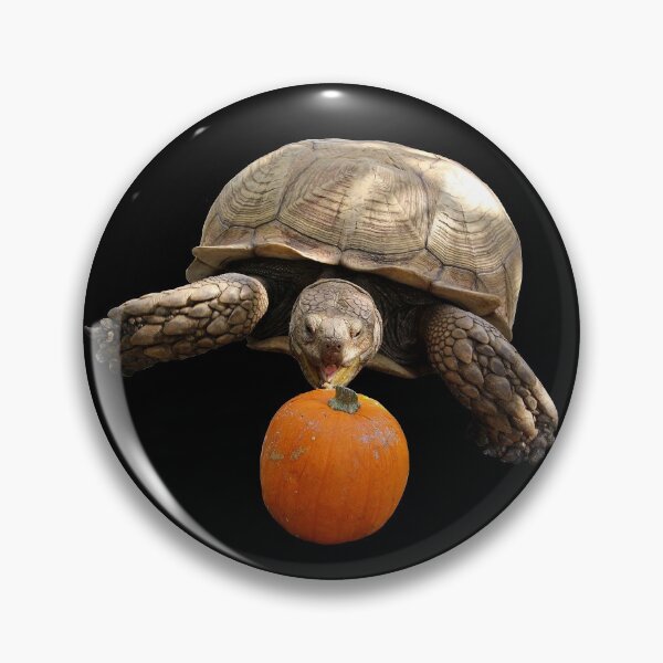 Item preview, Happy Sulcata designed and sold by misimichu.