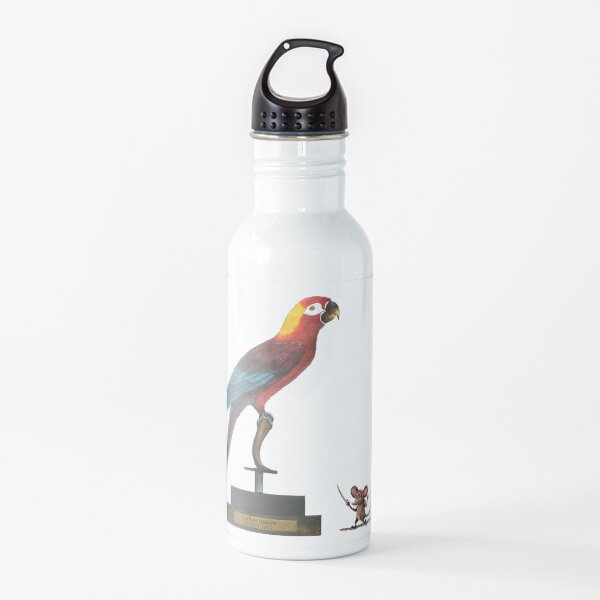 Museum encounter Water Bottle