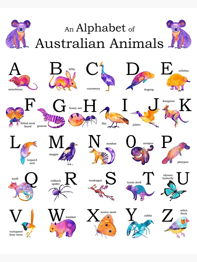 Alphabet of Australian Animals Art Print