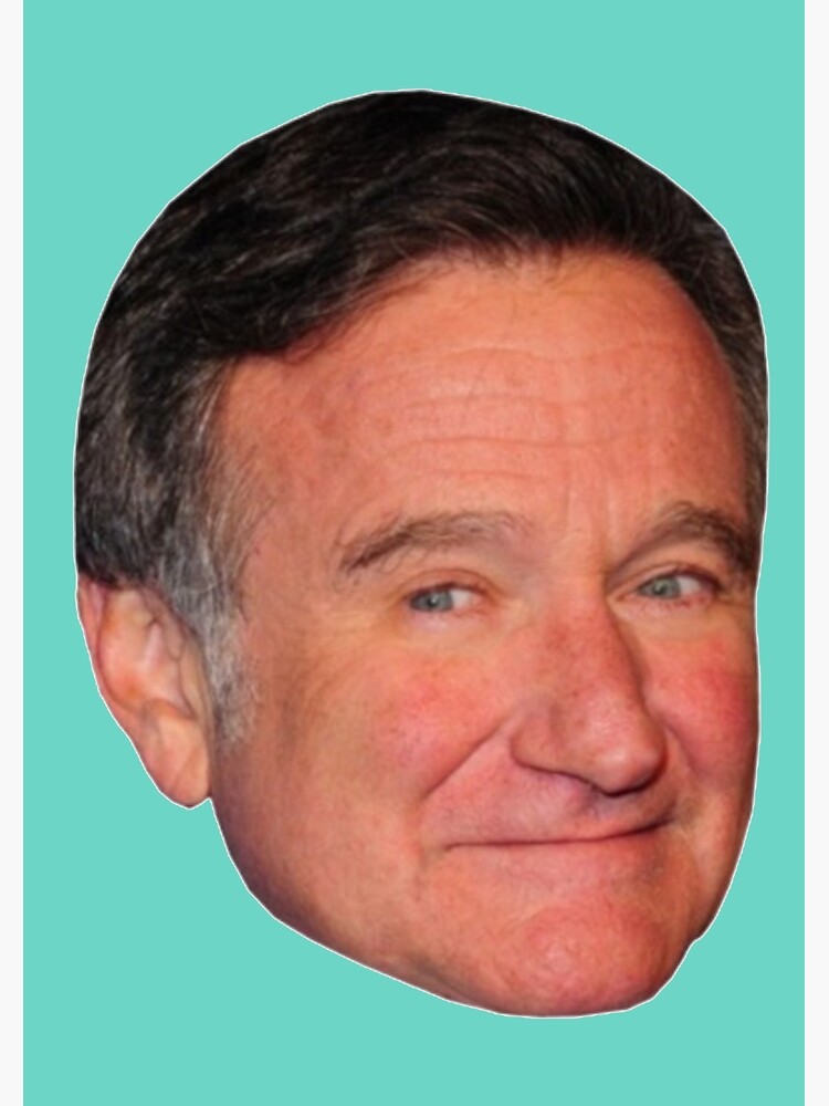 "Robin Williams" Poster for Sale by 11ezpassword Redbubble