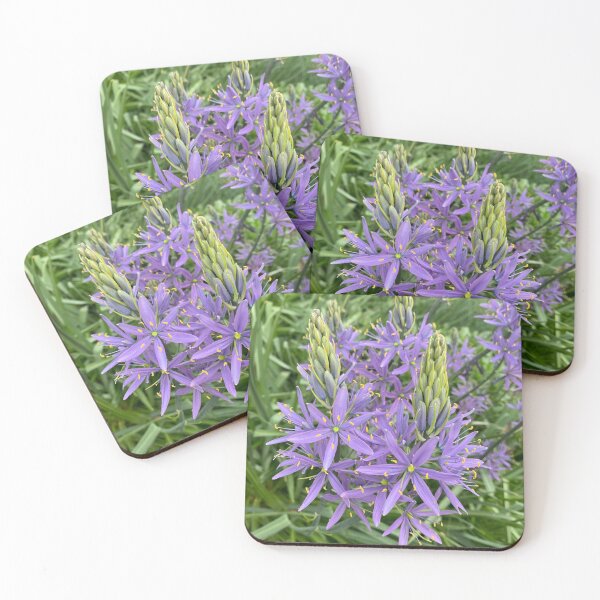 Item preview, Indian Hyacinth (Camassia Esculenta) designed and sold by rocketfoot7.