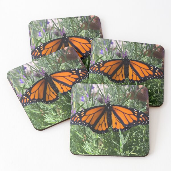 Item preview, Monarch Butterfly  designed and sold by ColibriDesigns.