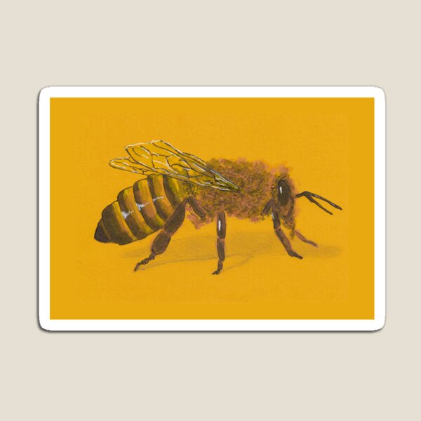 Honeybee Magnet