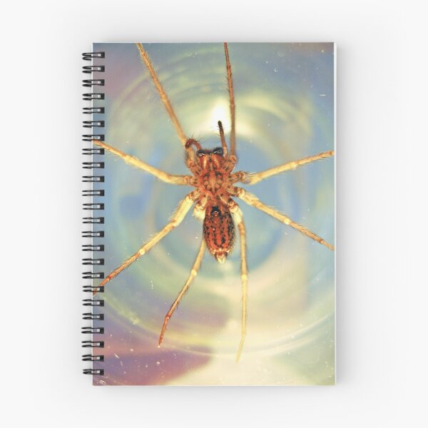 Item preview, Spider designed and sold by LVanDhal.