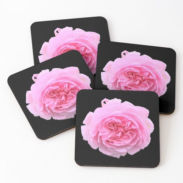Item preview, Pink Rose Print designed and sold by homesteadswag.