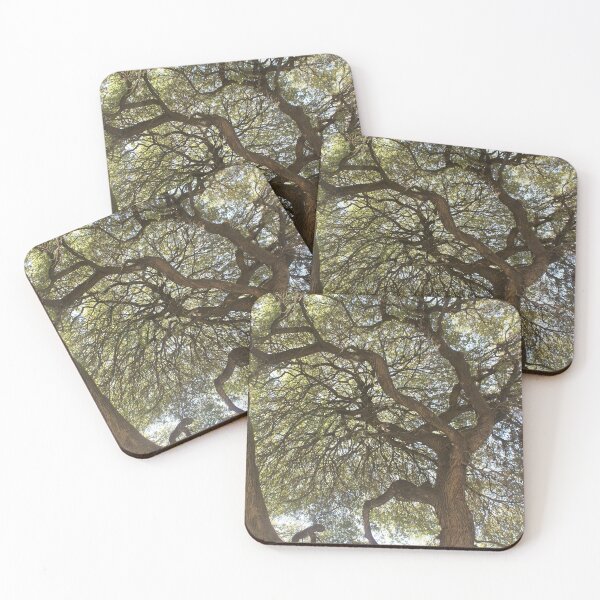 Item preview, San Antonio Oak designed and sold by billiebowler.