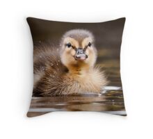 mallard plush pillow